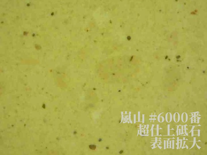 砥石 嵐山 顕微鏡画